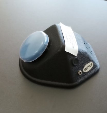Blue button switch