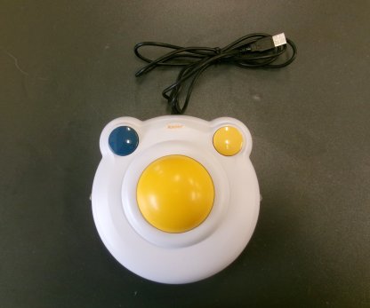Large Computer Mouse