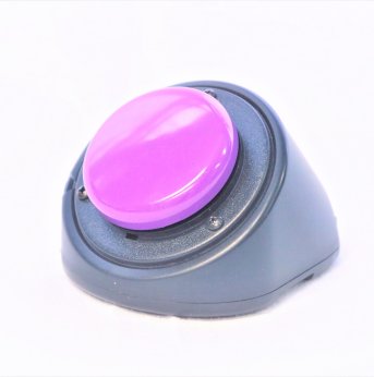 purple switch