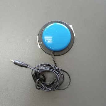 single button blue switch