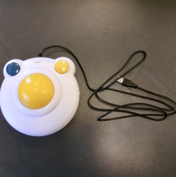 Large Computer Mouse