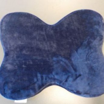 blue butterfly shaped cushion