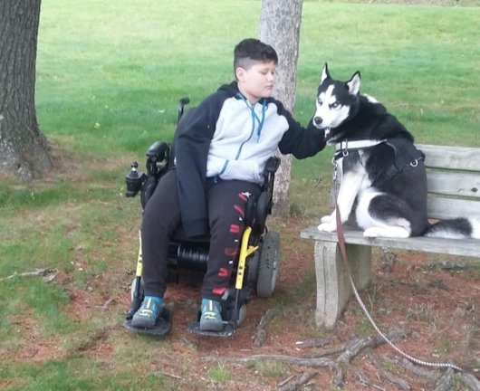 A boy sits in a motorized wheelchair in a park, next to a bench. A husky dog is sitting on the bench and the boy is looking at it while petting it.